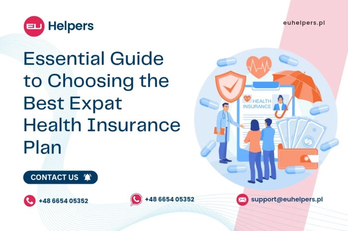 Essential Guide to Choosing the Best Expat Health Insurance Plan - EU ...